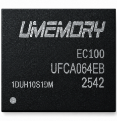 Embedded Storage
